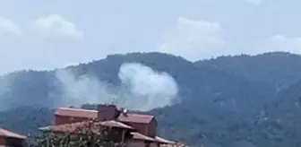 Köyceğiz'de de orman yangını