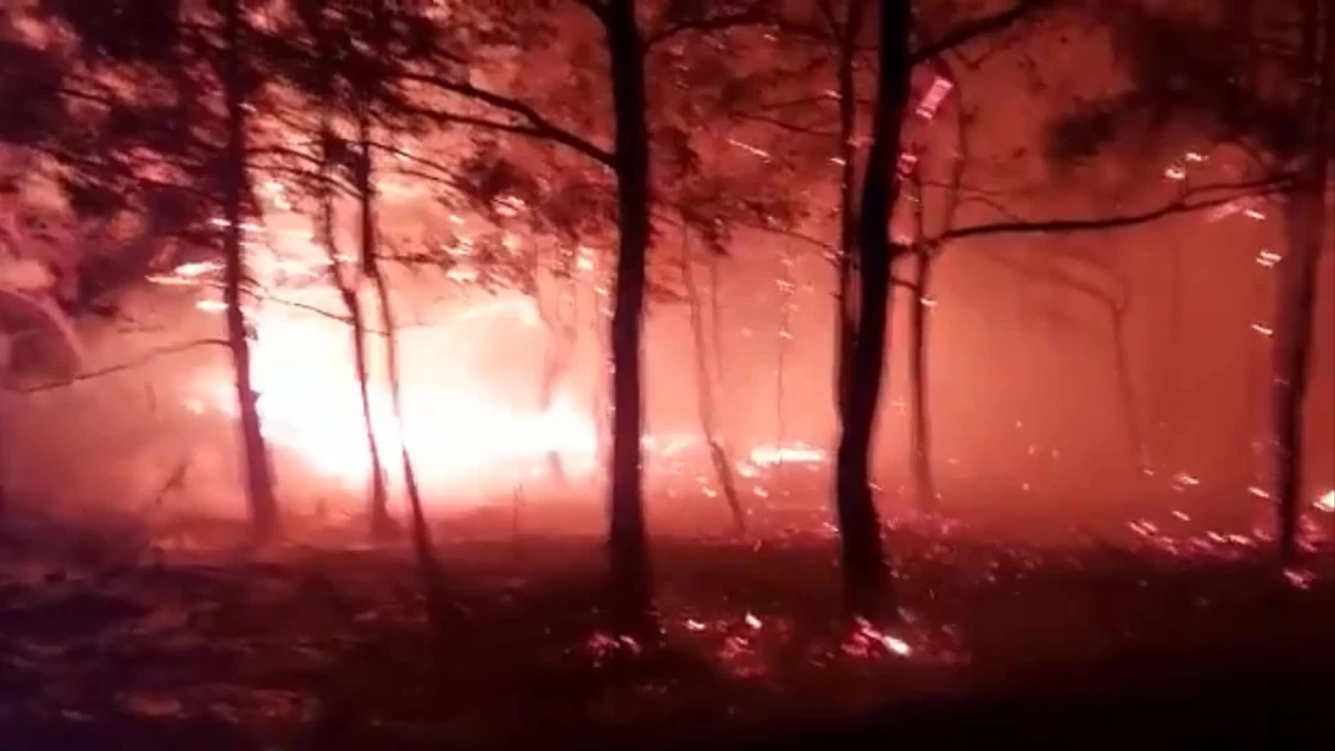 Son dakika haberi | Marmaris\'te Akşam Çıkan Orman Yangını Söndürülemedi. Başkan Oktay: "Gece Görüşlü Helikopter Acilen Bölgeye Gönderilmeli"