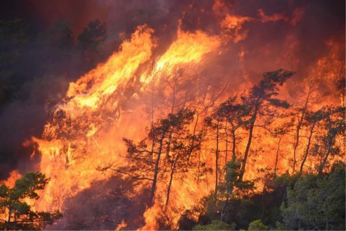 Son dakika haberi | Marmaris\'teki orman yangınında 2\'nci gün; çıkış nedeni için özel ekip kuruldu (6)
