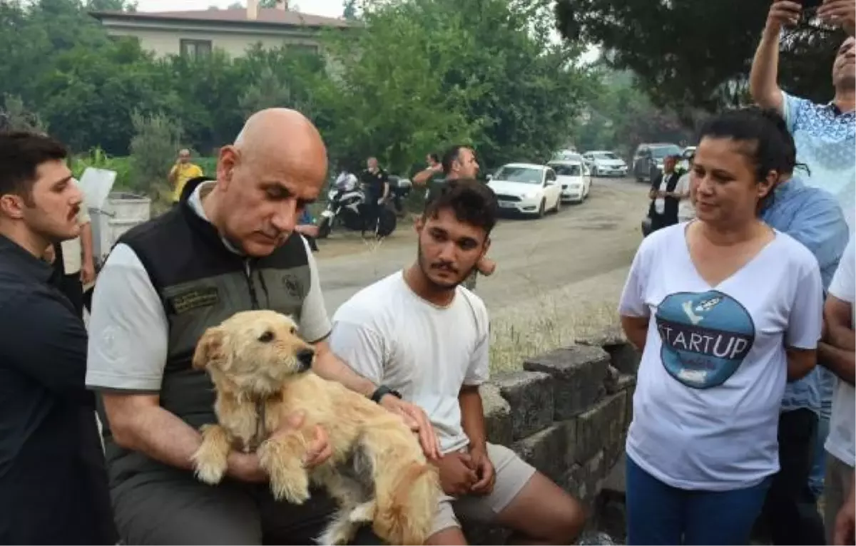 Son dakika haberleri! Marmaris'teki orman yangınında 2'nci gün; çıkış nedeni için özel ekip kuruldu (9)