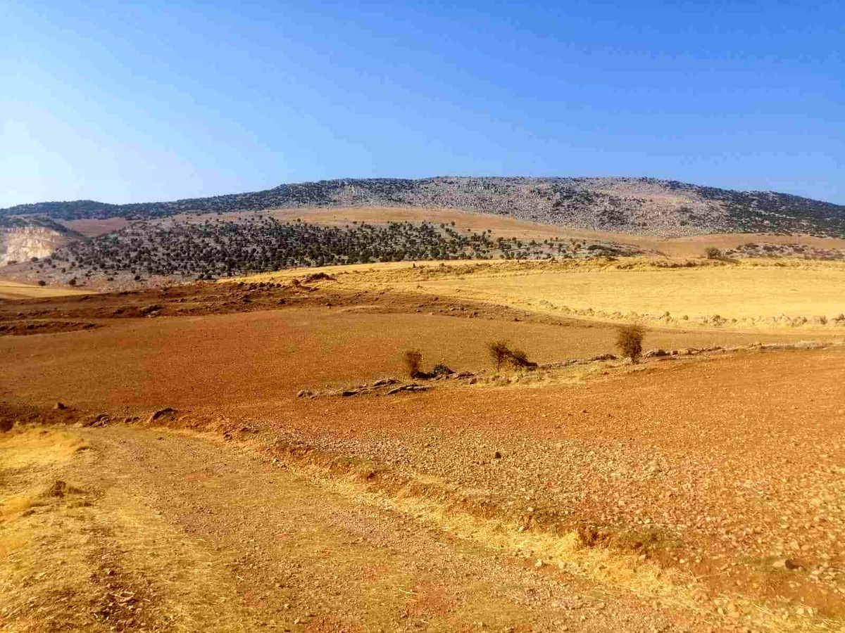Mermer ihtisas OSB\'de arsa tahsis başvuruları başladı