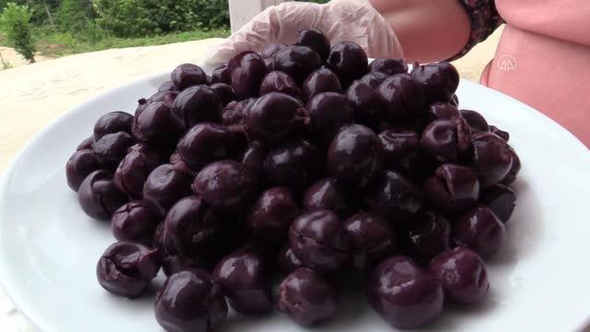 Ordu'nun vazgeçilmez lezzetlerinden taflan turşusuna coğrafi işaret tescil belgesi verildi