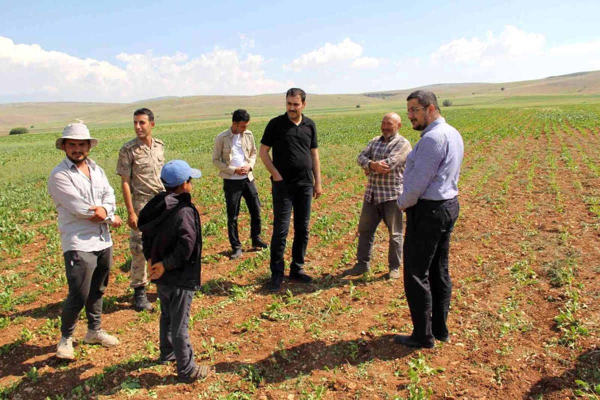 Tarlada mevsimlik işçilerle hasbihal