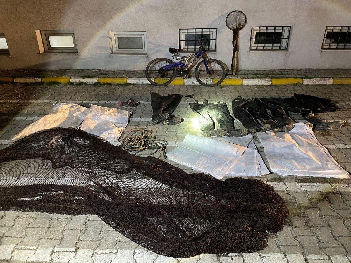 Van'da ele geçirilen 4 bin 500 kilogram inci kefali suya bırakıldı