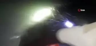 Van'da kaçak avlanılmış 4 buçuk ton canlı inci kefali ele geçirildi