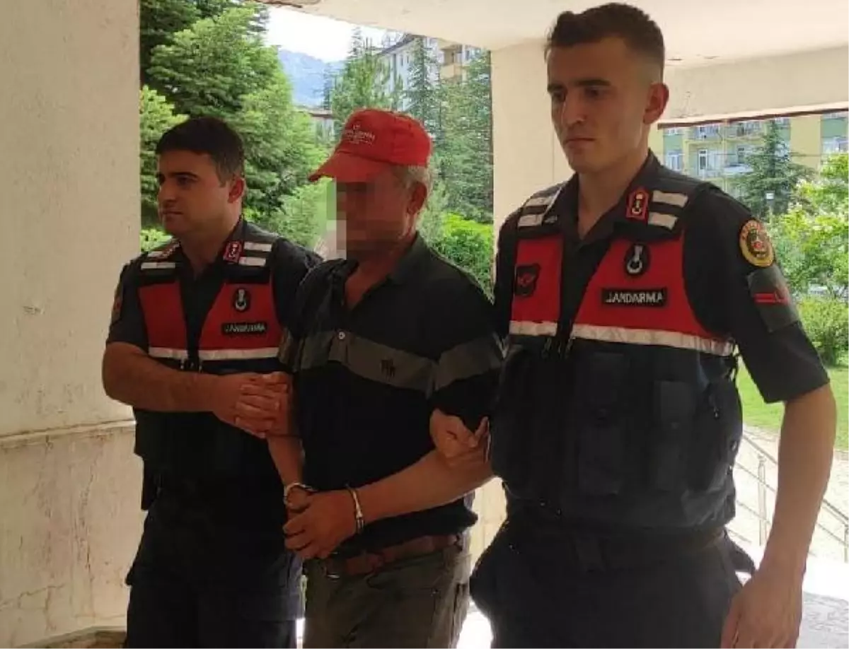 Yeğeni, amcasını vurmuştu, ikisi de serbest kaldı