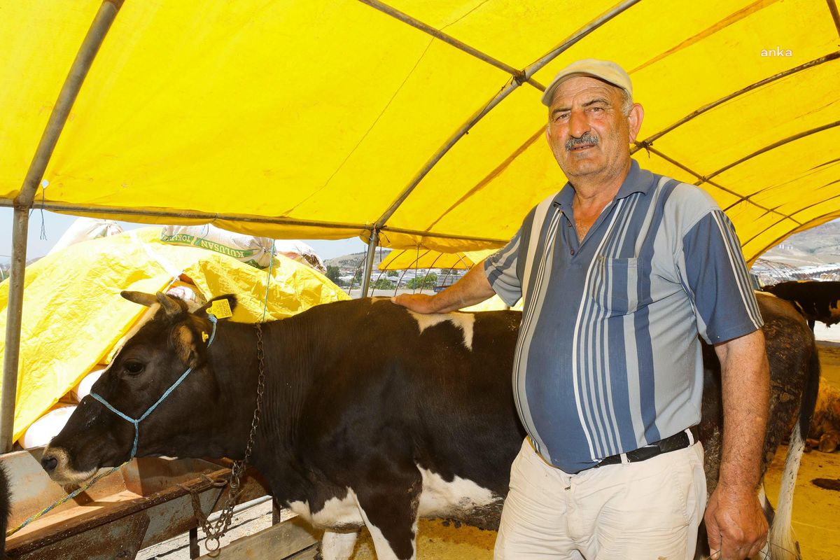 Yenimahalle Belediyesi, Yakacık Kurban Satış ve Kesim Alanı'nı Kurban Bayramı'na Hazırladı