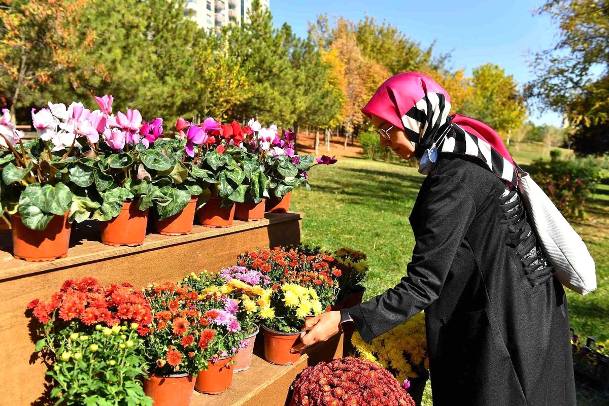 Başkentte "Çiçeğim Takası" uygulaması başlıyor
