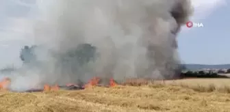Son dakika haberi! Buğday tarlasında yangın: 40 dönüm buğday tarlası kül oldu