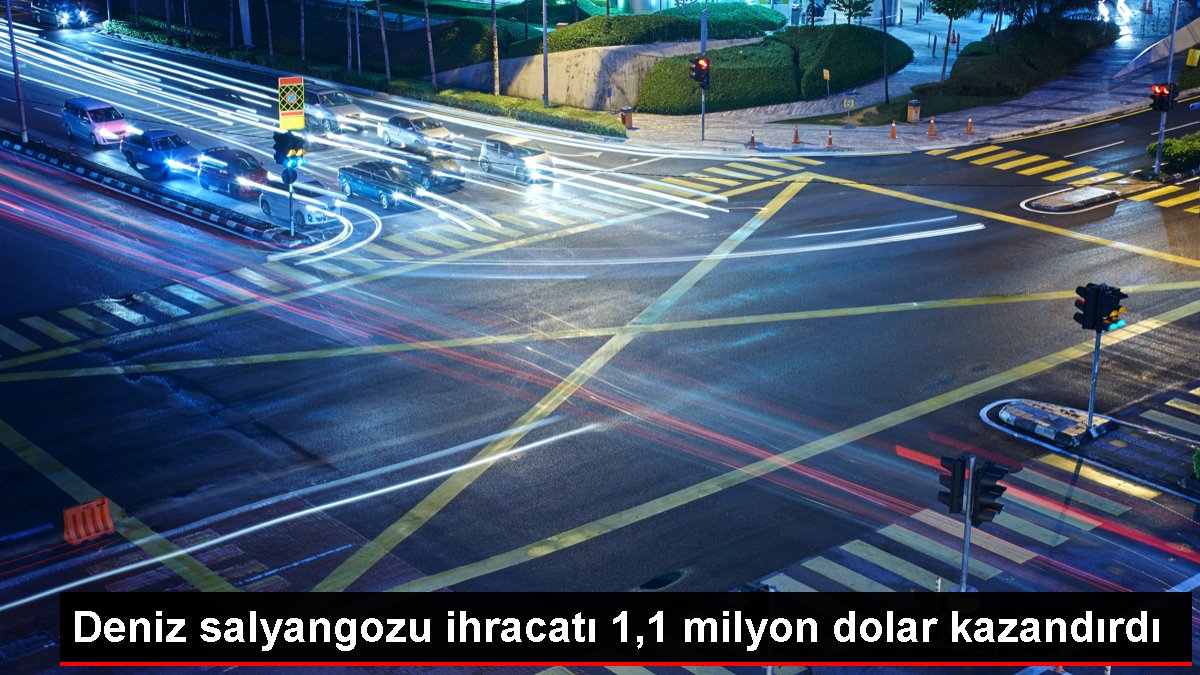 Deniz salyangozu ihracatı 1,1 milyon dolar kazandırdı