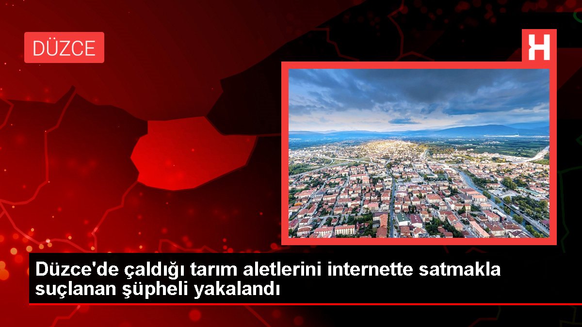 Düzce'de çaldığı tarım aletlerini internette satmakla suçlanan şüpheli yakalandı