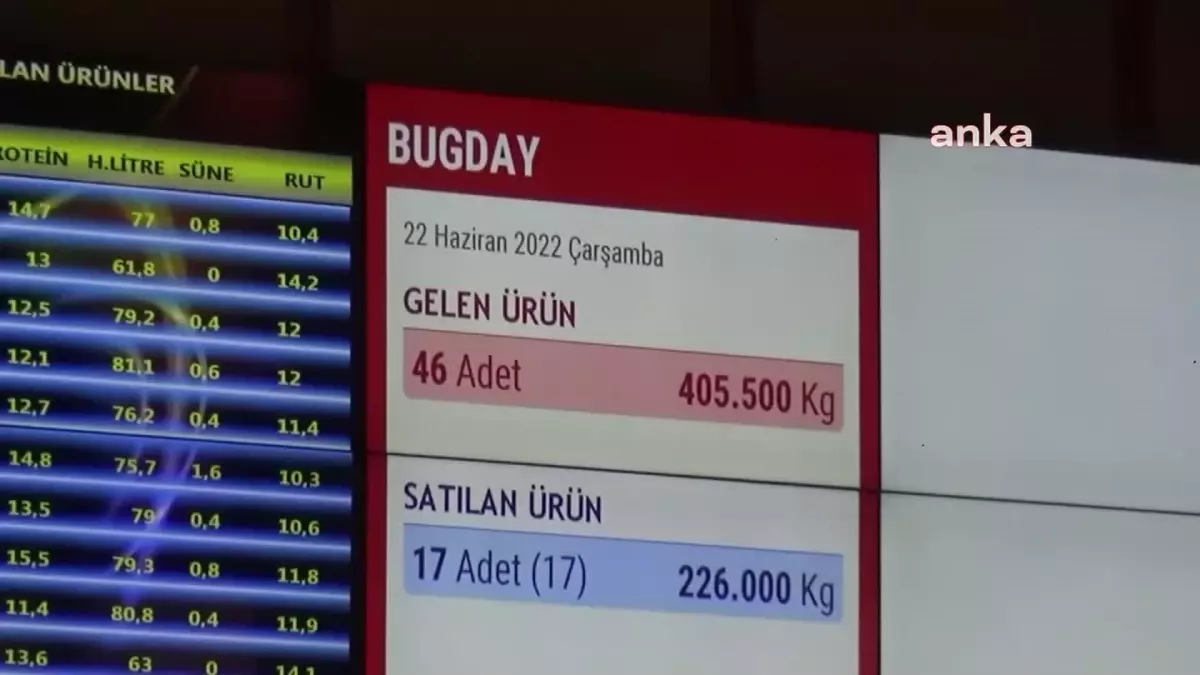 Edirneli Çiftçi: "Bu Şekilde Bu Devran Gitmez. Borcu Olan Çiftçi Batar"