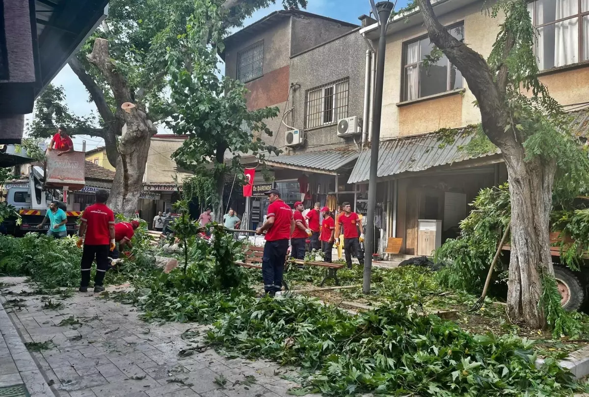 Fırtına etkili oldu, ağaç devrildi, çatılar uçtu