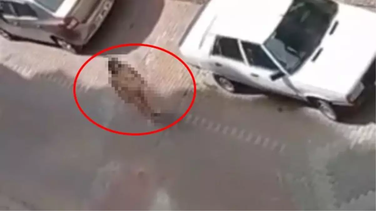 İzmit\'te bir kadın sokakta çırılçıplak dolaştı! Akli dengesinin yerinde olmadığı ortaya çıktı