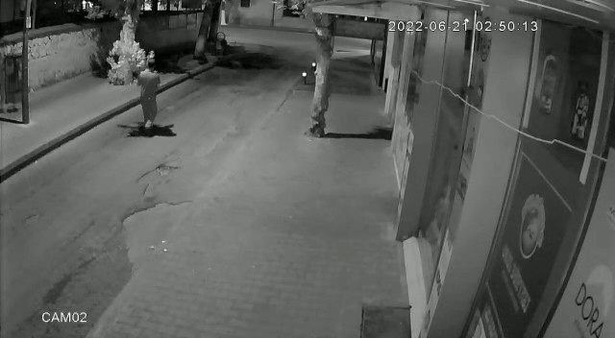 Kaldırımdaki çiçeği çaldı