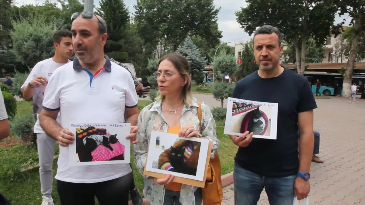 Malatya'da Evcil Hayvan Sahipleri Veterineri Şikayet Etti, Savcılık 'Kasıt Yok' Diyerek Takipsizlik Verdi