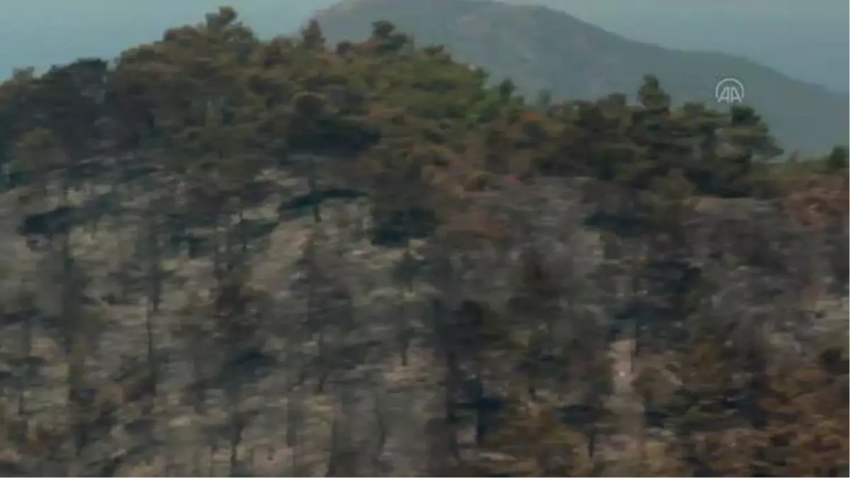 Son dakika haber... Marmaris'teki orman yangınına müdahale sürüyor (3)