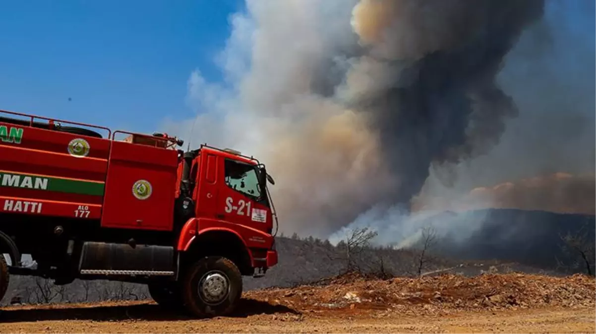 Marmaris'teki yangında herkes sabotaj iddiasını konuşurken bir kişi gözaltına alındı