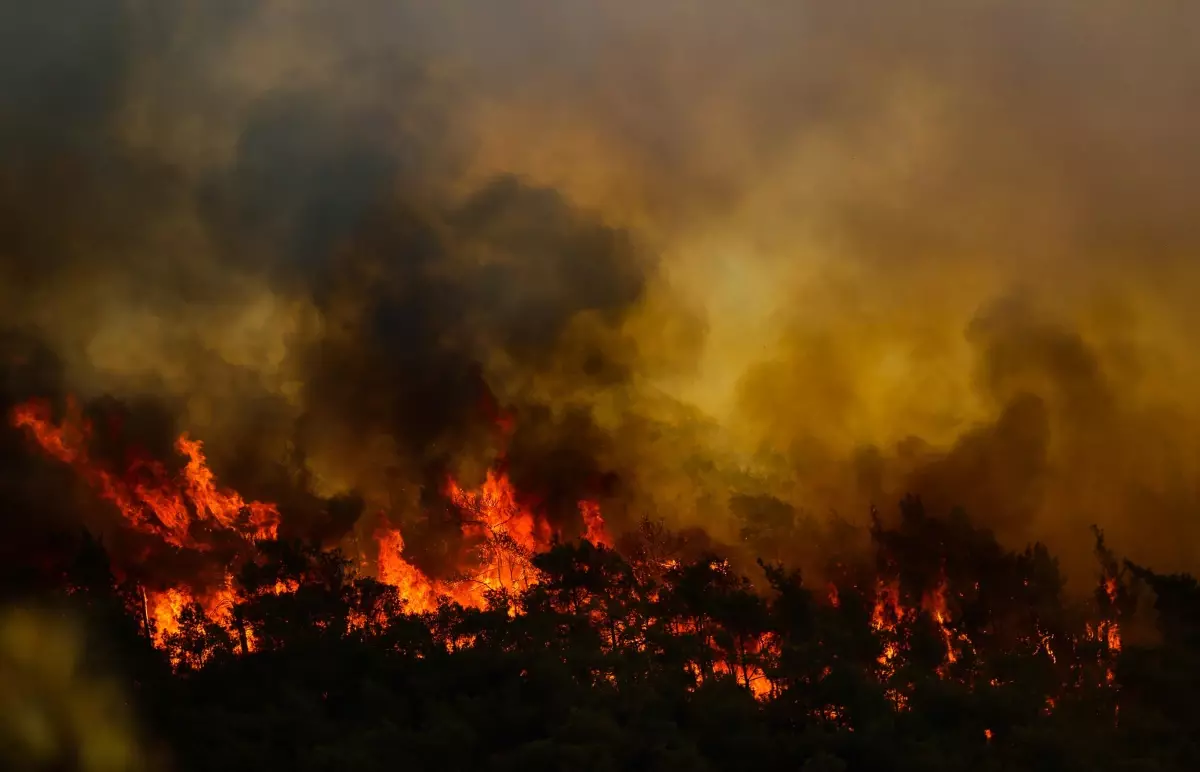 Marmaris'teki yangın henüz kontrol altına alınamadı! Tedbir amaçlı bazı evler tahliye edildi