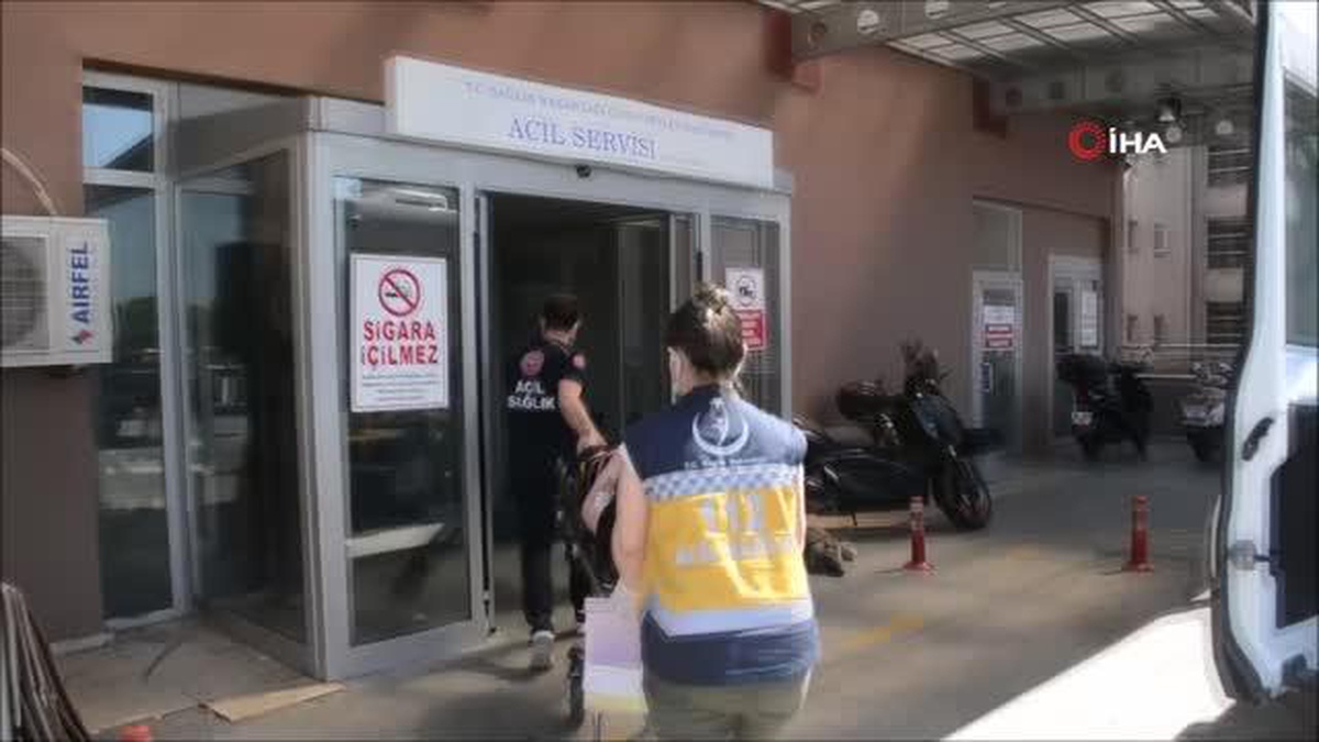 Otomobil camından giren eşek arısı kazaya neden oldu...Takla atan otomobildeki 3 kişi yaralandı