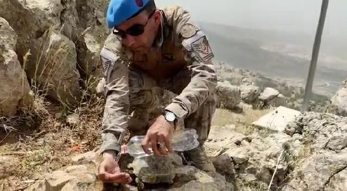 Üs bölgesinde görevli asker, kaplumbağaya elleriyle su verdi
