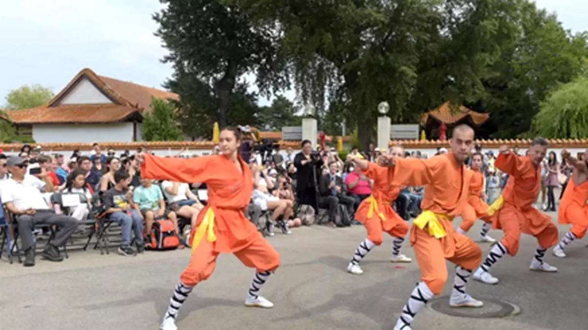 Viyana\'da Bir Festivalde Kung Fu Gösterisi