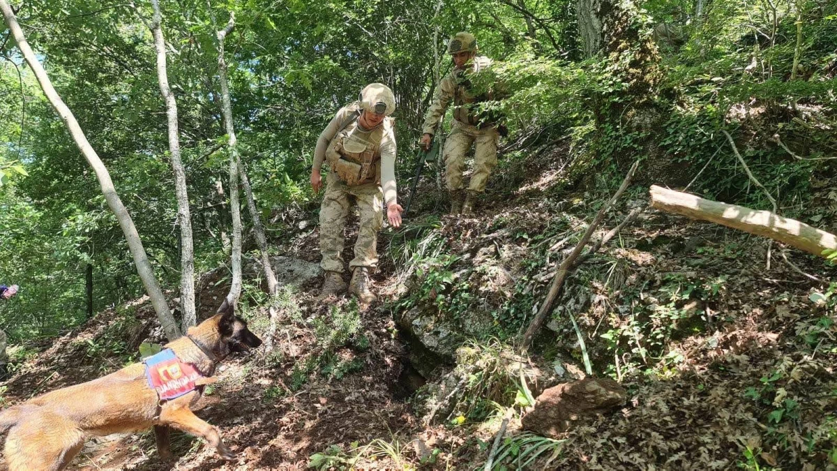 Amanoslar kırsalında PKK\'lı teröristlerin kullandığı iki sığınak ve bir depo bulundu