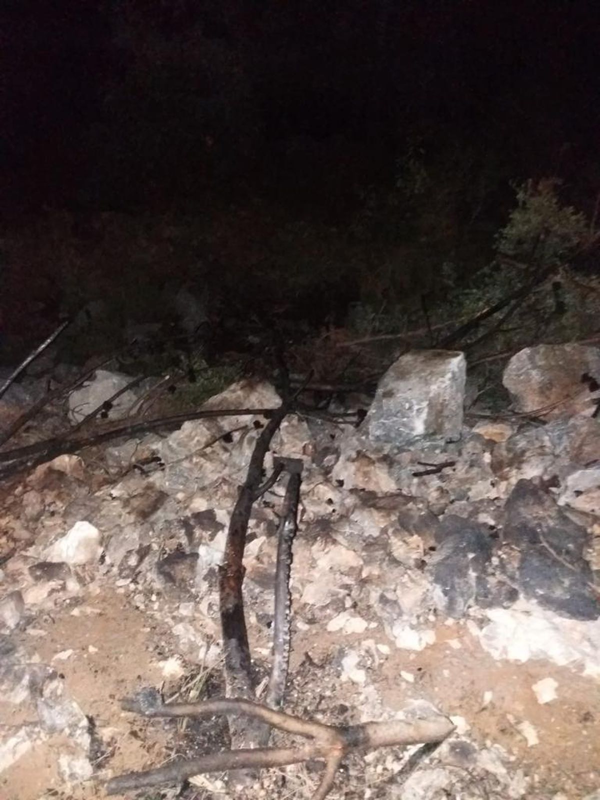 Antalya\'da orman yangını çıkardığı iddiasıyla bir kişi tutuklandı