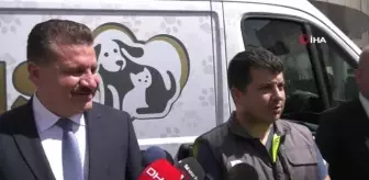 Balıkesir BŞB Marmaris'teki yangında zarar gören hayvanları tedavi edecek