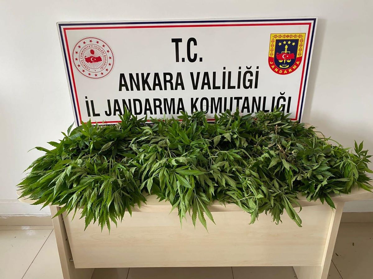 Başkentte yol kontrol noktalarında, aranan 244 şahıs yakalandı