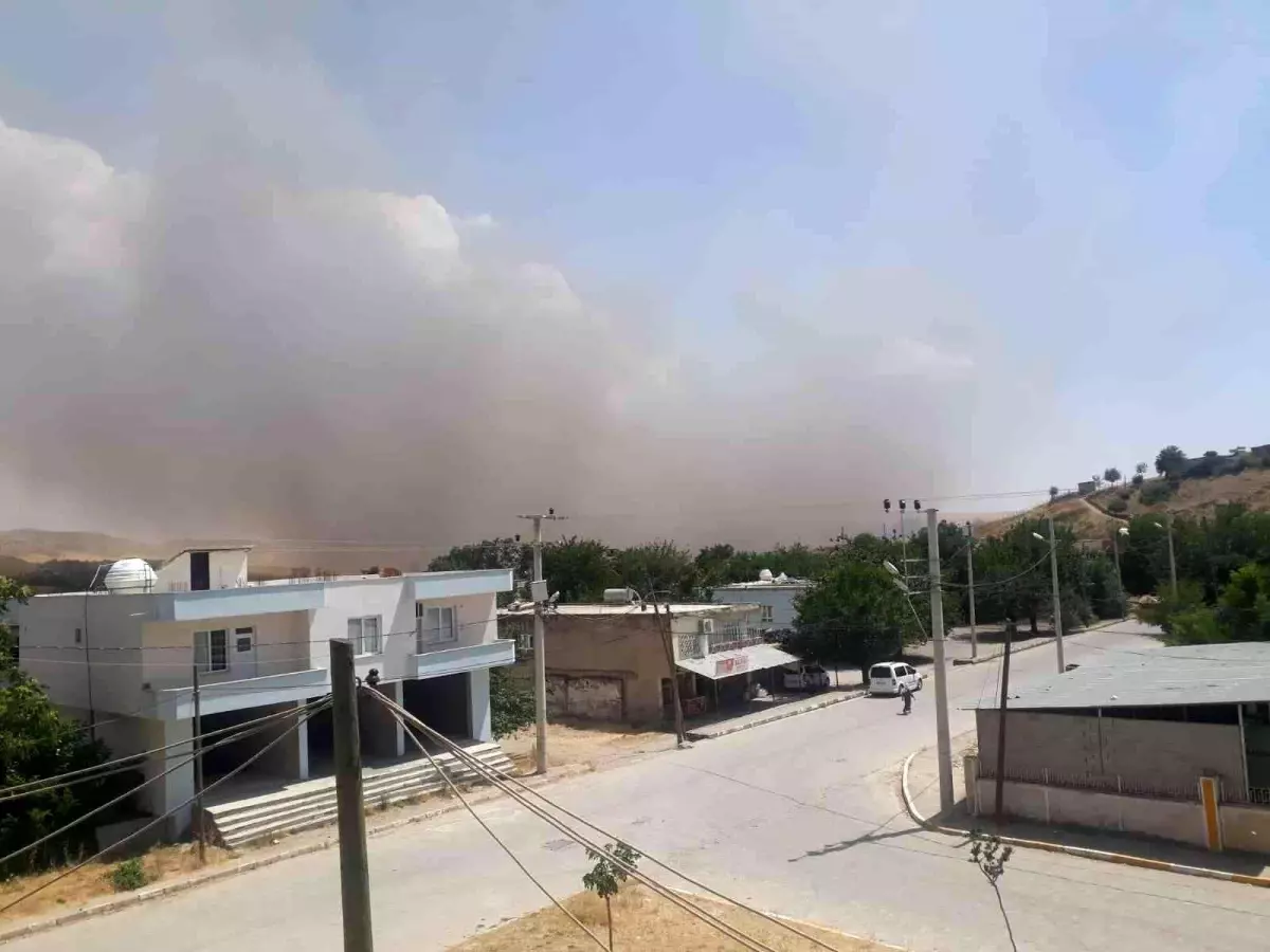 Batman\'da bin dönüm ekili buğday küle döndü