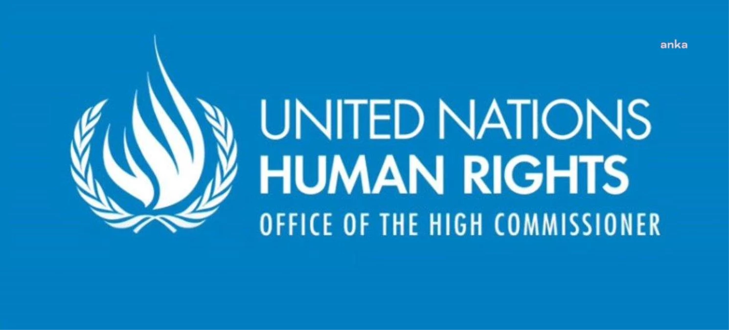 BM İnsan Hakları Yüksek Komiserliği: "Şirin Ebu Akile\'yi Öldüren, Ali Sammoudi\'yi Yaralayan Kurşun İsrail Güvenlik Güçlerinden Geldi"