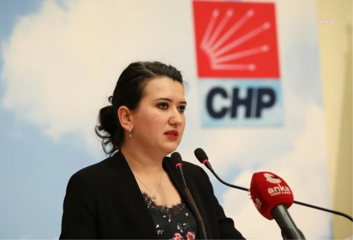 CHP\'li Gökçen: "Lgbti Hakları İnsan Haklarıdır"