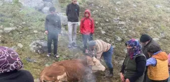 Son Dakika | Dereye düşen inek kurtarıldı, yakılan ateşle ısıtıldı