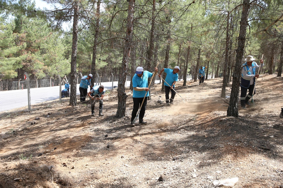 Gaziantep\'te olası yangınlara karşı ormanlık alanlar temizlendi