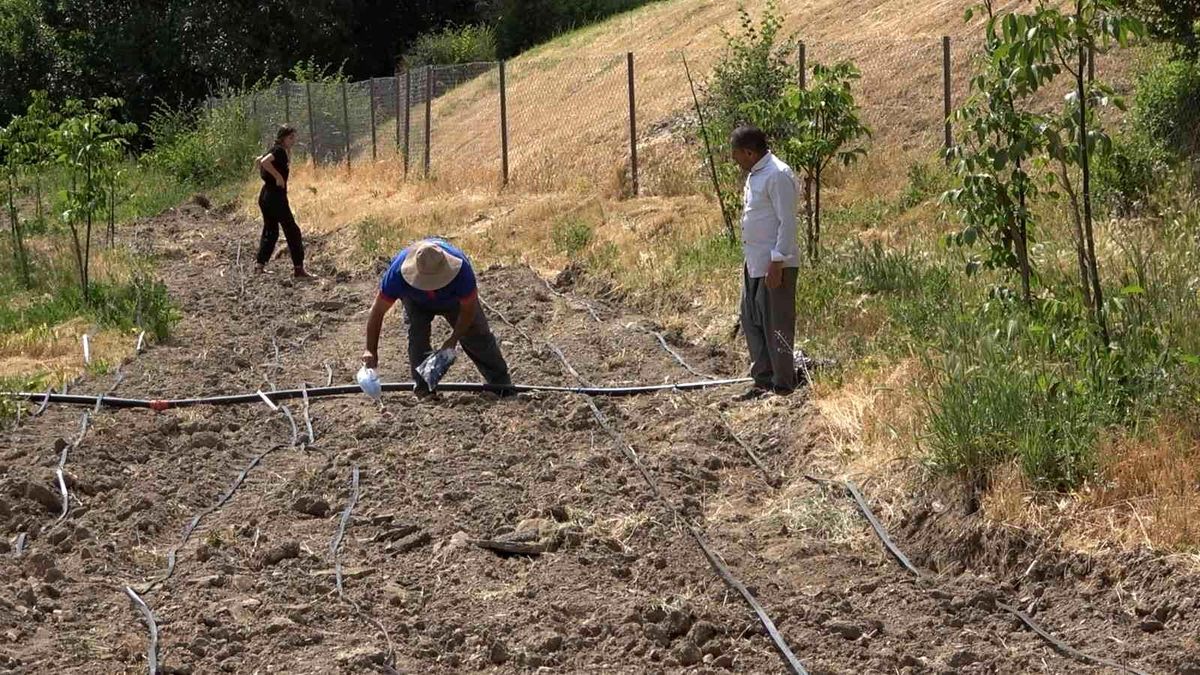 Kavurucu sıcaklıkta üretim mesaisi