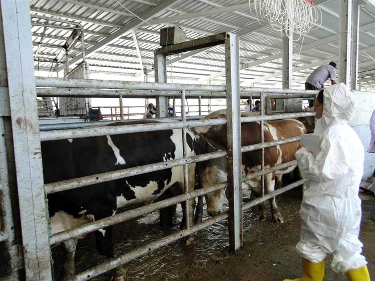 Kurban Bayramı öncesi sıkı kontrol