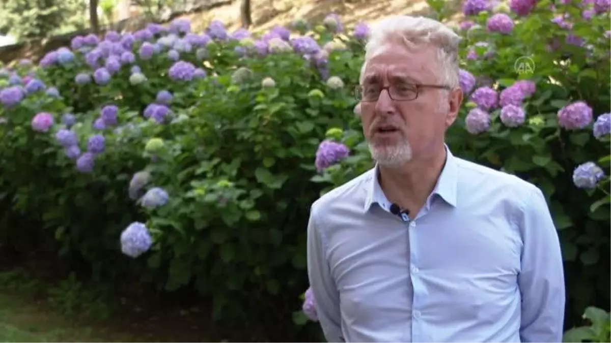 Son dakika haber | Küresel ısınma gelecekte dünyada orman yangını riskini artırabilir