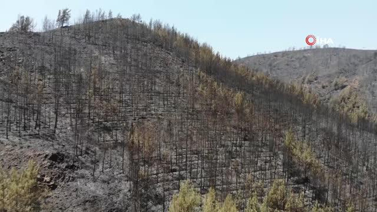 Marmaris\'te söndürülen alanlar böyle görüntülendi