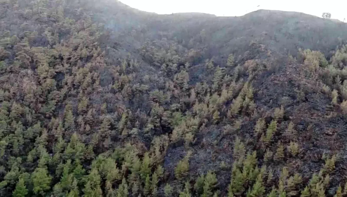 Marmaris\'te yürekleri dağlayan kara tablo havadan görüntülendi