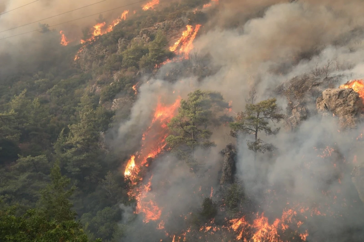 Son dakika haber | Orman yangınlarına karşı mücadele seferberliği