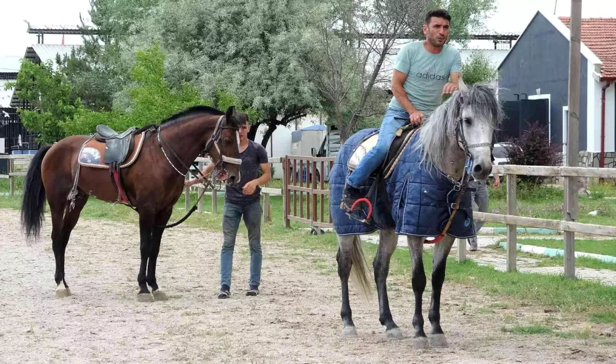 Rahvan atçılar devletten yem desteği istiyor