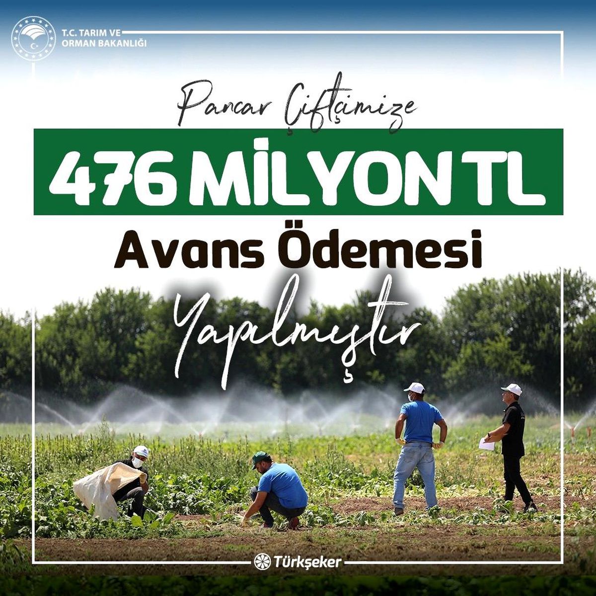 Pancar çiftçisine 476 milyon lira avans