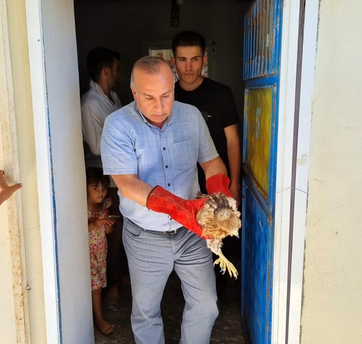 Son dakika haberi... Yavru şahin ve yaralı leylek tedavi altına alındı