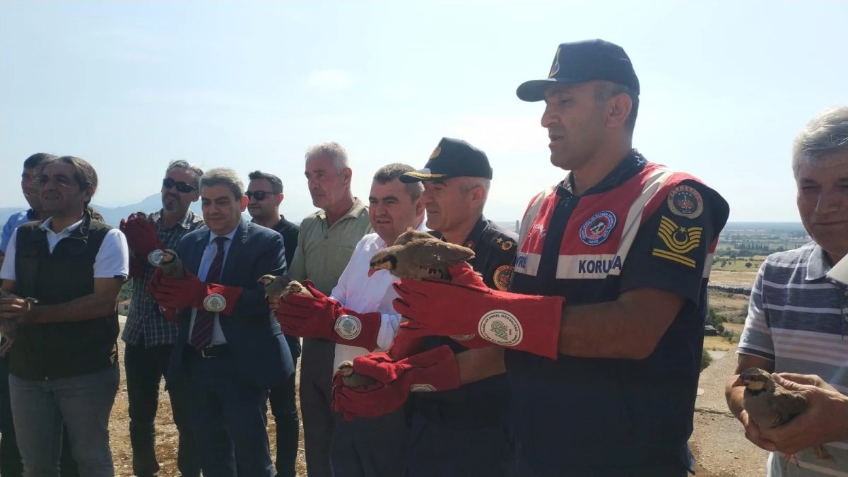Antalya\'da 400 kınalı keklik doğaya bırakıldı