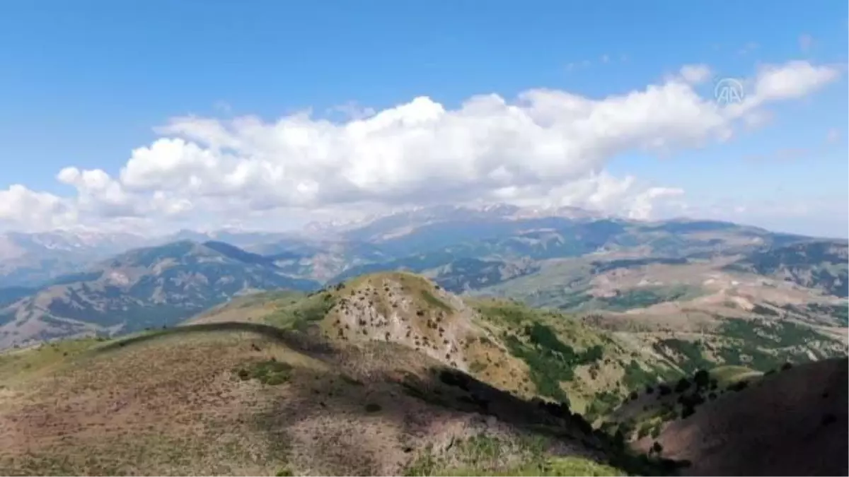 Huzura kavuşan yayla ve meralar artık göçerleri ağırlıyor