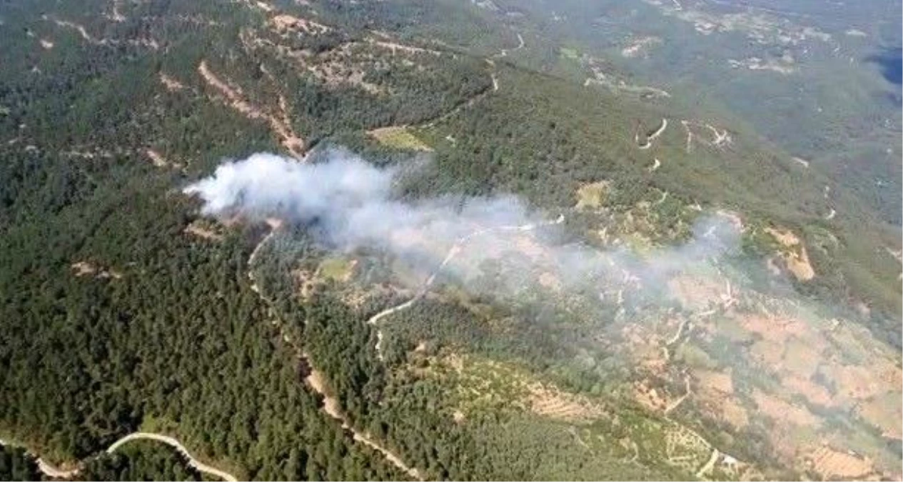 İzmir\'de ormanlık alanda yangın kontrol altında
