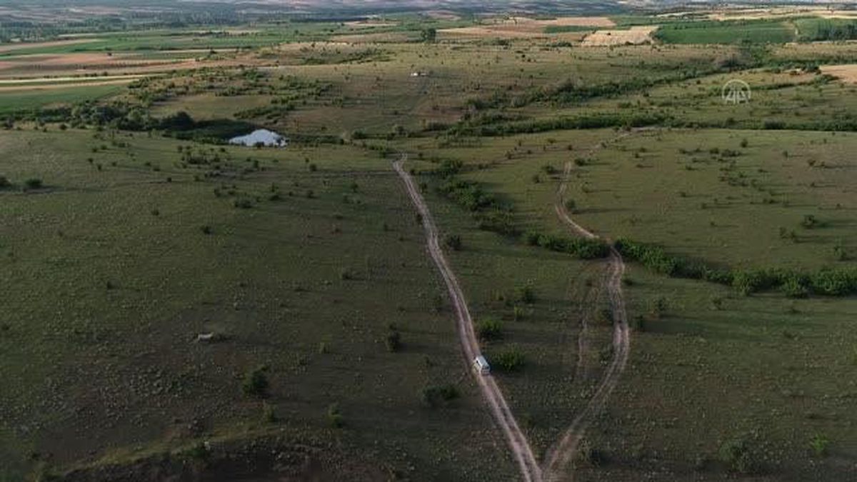 KIRKLARELİ - Gezginci arıcıların zorlu 'oğul' alma telaşı başladı