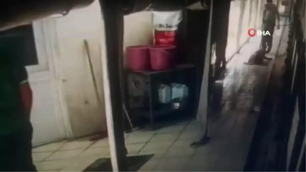 Konak Belediyesi Hayvan Sağlığı Merkezi'nde dehşete düşüren görüntüler: Hayvanları yerlerde sürüklediler