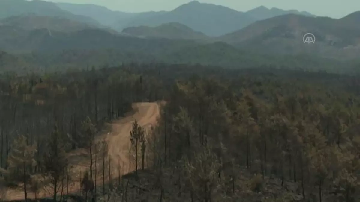 Marmaris'teki orman yangını alanında soğutma çalışmaları yapılıyor